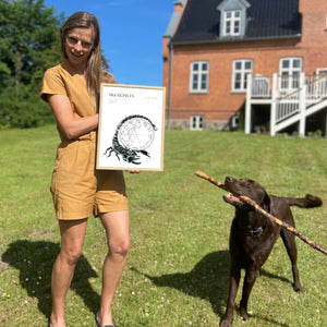 Skorpion Personligt Horoskop