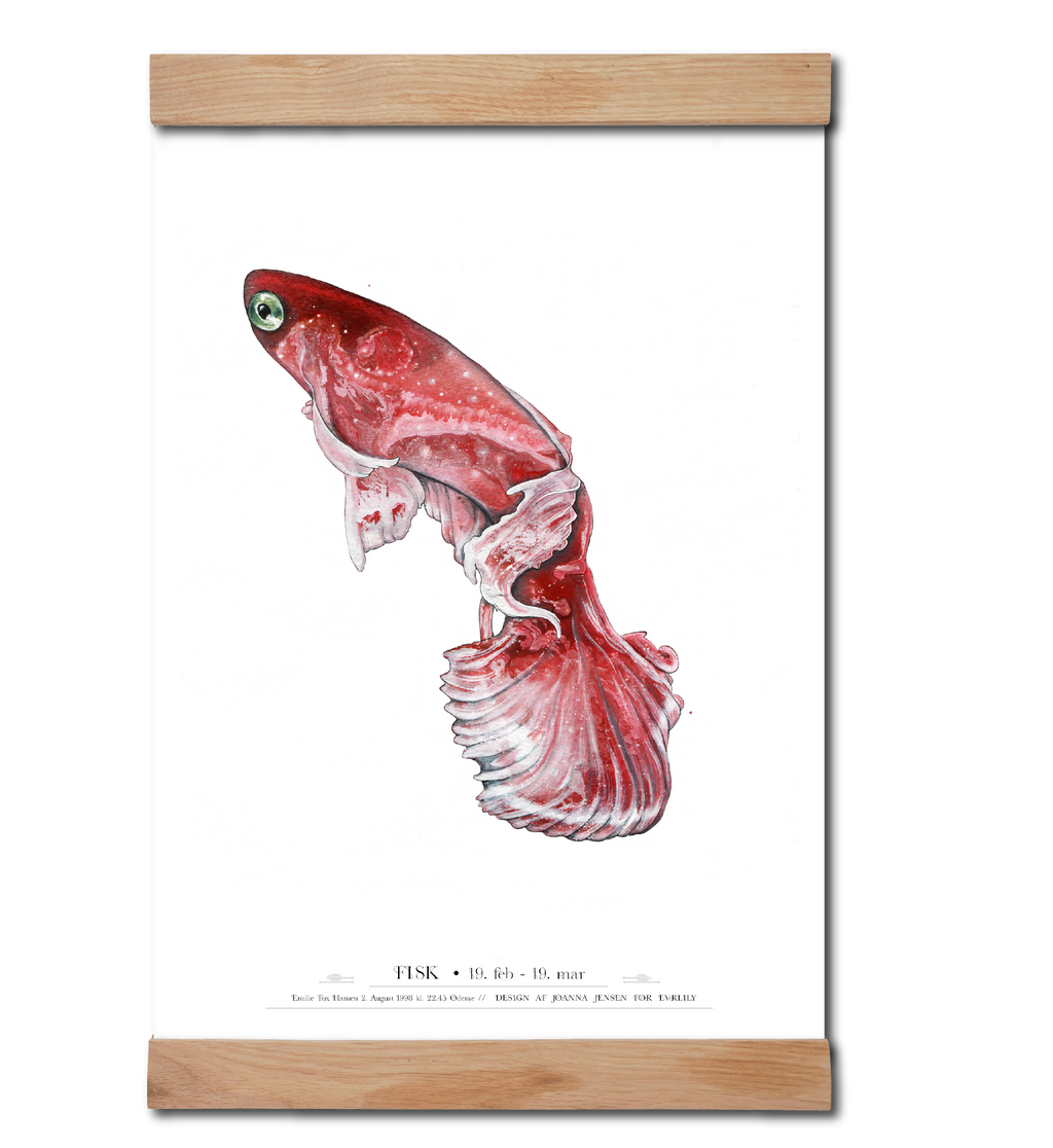 Stjernetegnsplakat fisken pisces malet i akvarel af Joanna Jensen