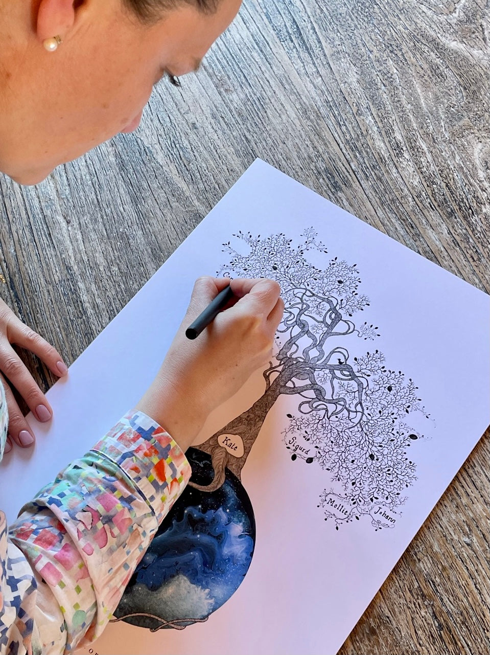 Tomt stamtræ du selv udfylder med familiens medlemmer