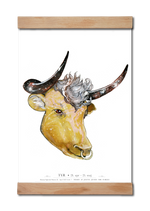 Indlæs billede til gallerivisning Stjernetegnet tyr, taurus malet i akvarel

