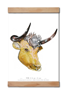 Stjernetegnet tyr, taurus malet i akvarel