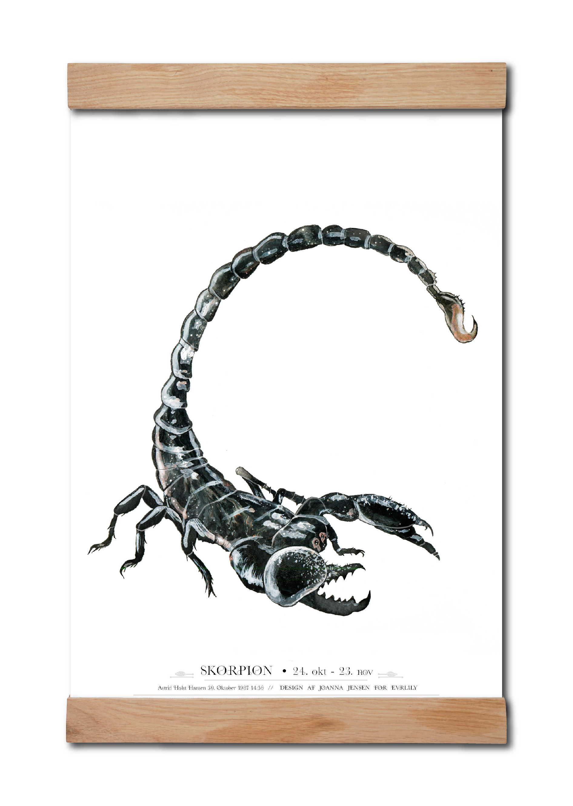 personlig plakat med skorpion stjernetegn 