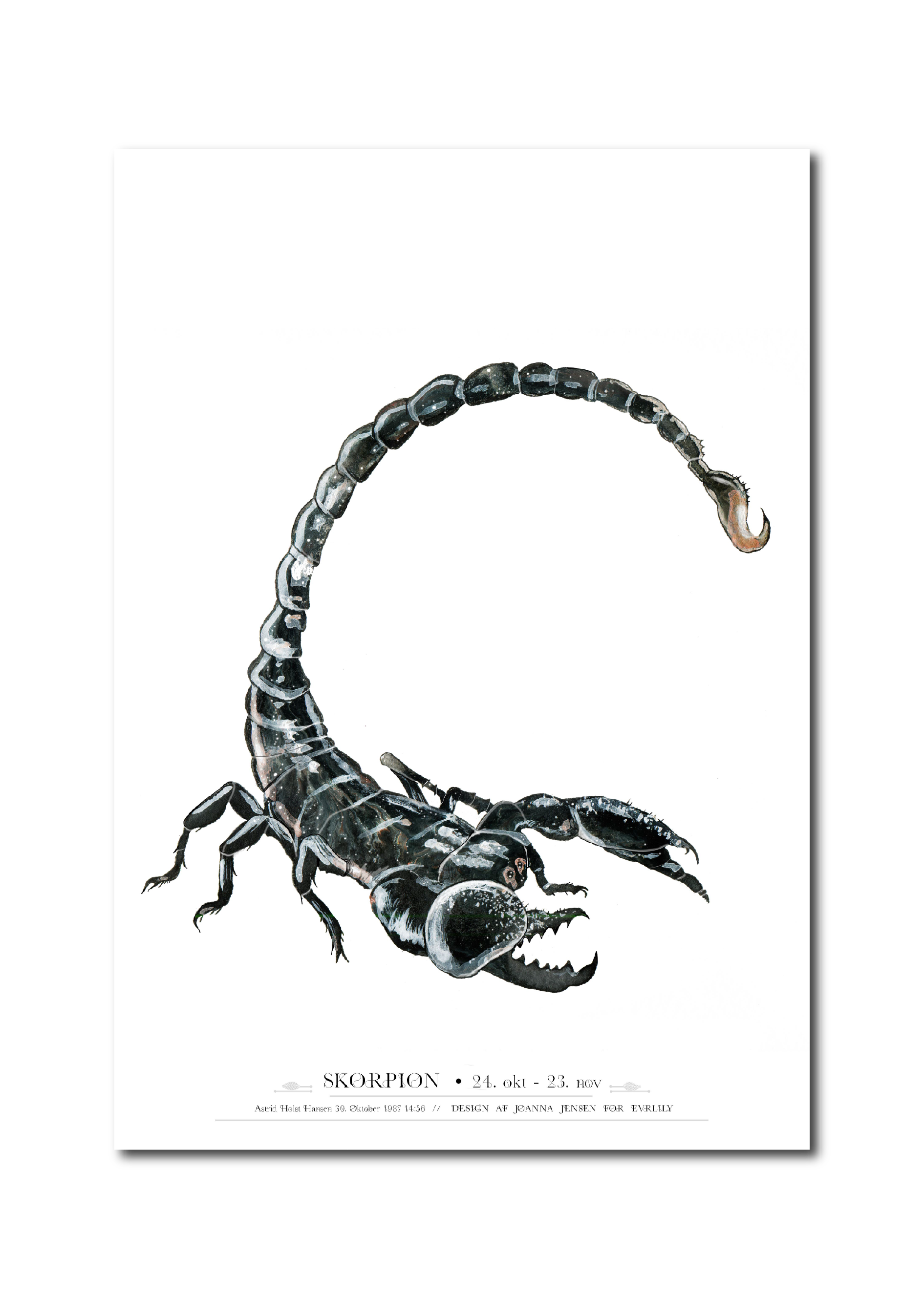 Skorpion stjernetegnsplakat, malet i akvarel