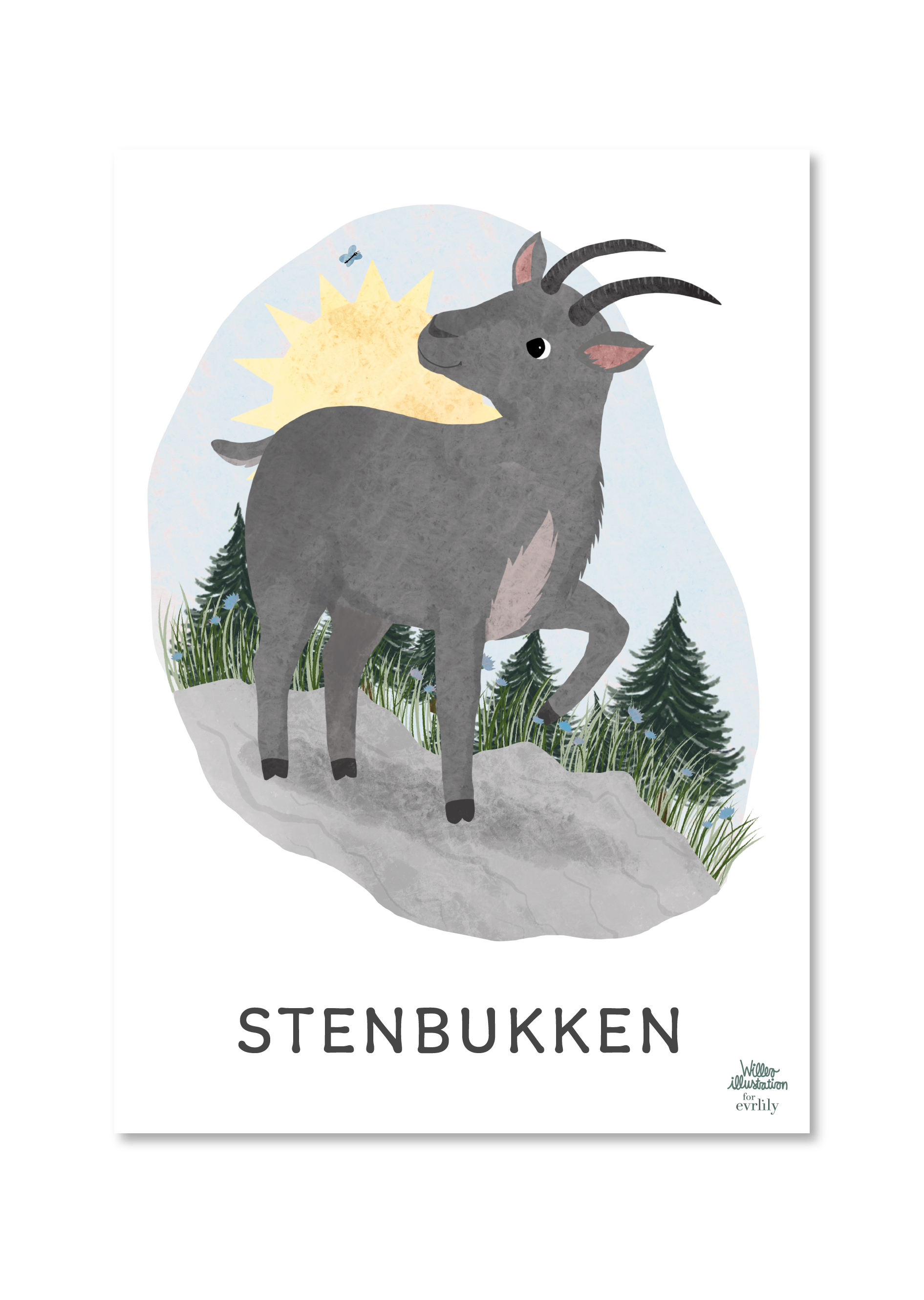stjernetegnsplakat med stenbukken til børn. tegnet af willero illustration for everlily