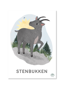 stjernetegnsplakat med stenbukken til børn. tegnet af willero illustration for everlily