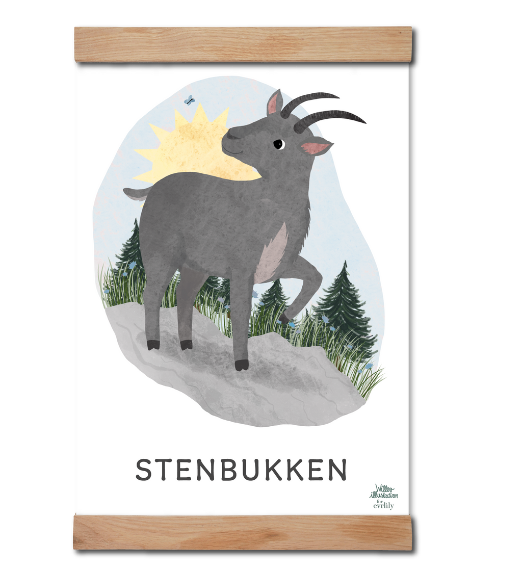 Stjernetegnet stenbukken som plakat til børneværelset.