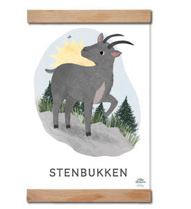 Stjernetegnet stenbukken som plakat til børneværelset.