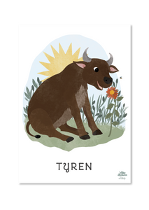 Sød stjernetegnsplakat til børneværelset med tyren - taurus. tegnet i fin stil af willero illustration for Everlily