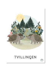 stjernetegnsplakat med tvillingen til børneværelset. Indret med stjernetegn og personlig plakat
