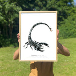 Indlæs billede til gallerivisning Kunstplakat med stjernetegn skorpionen

