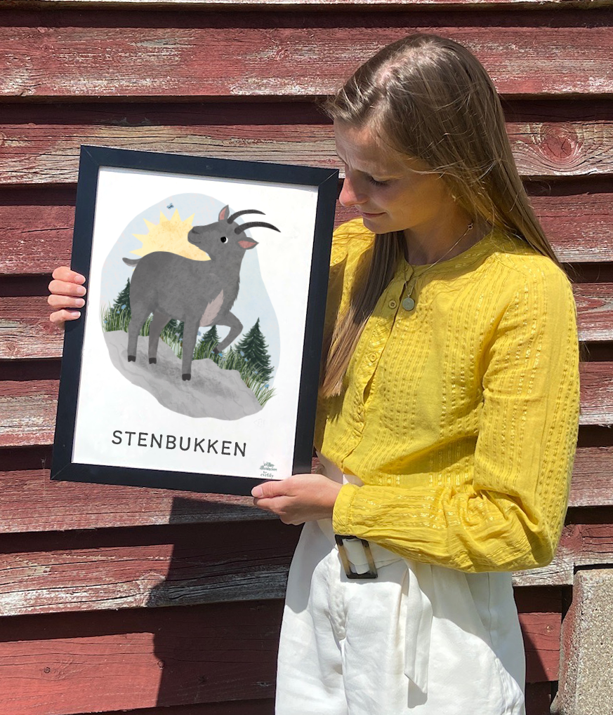 personlig plakat med stenbukken som stjernetegn. 