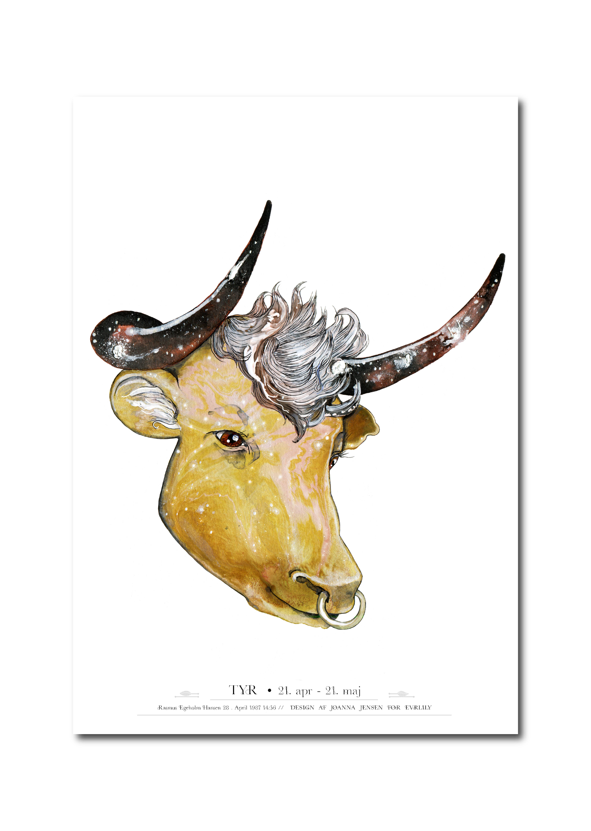 plakat med stjernetegnet taurus tyr, som fødselsplakat