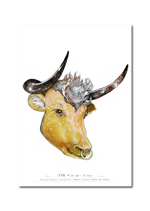 plakat med stjernetegnet taurus tyr, som fødselsplakat